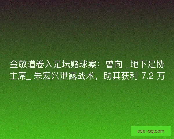 金敬道卷入足坛赌球案：曾向 _地下足协主席_ 朱宏兴泄露战术，助其获利 7.2 万