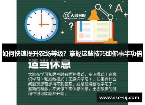 如何快速提升农场等级？掌握这些技巧助你事半功倍